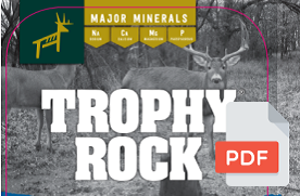 Trophy rock 20lb